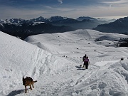 Salita invernale dai Piani al MONTE AVARO (2088 m.) il 24 gennaio 2009 - FOTOGALLERY